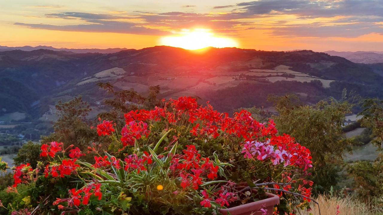 Sogliano al Rubicone B&B Marcantonio Country House المظهر الخارجي الصورة